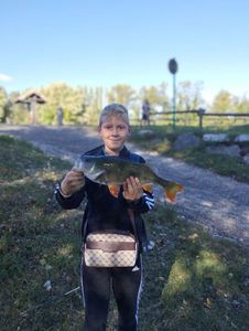 European Perch