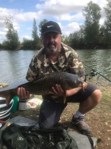 Common Carp