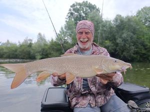 Barbel