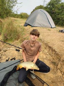 Common Carp