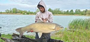 Grass Carp
