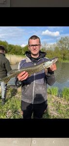 Northern Pike