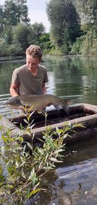Grass Carp