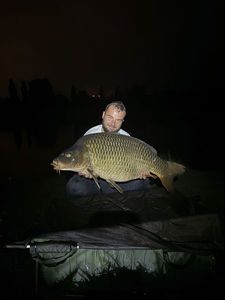 Common Carp