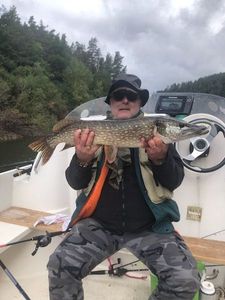 Northern Pike