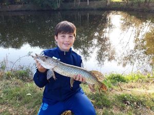 Northern Pike