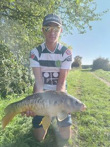 Mirror Carp