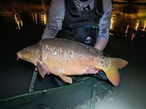 Leather Carp