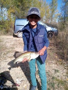 Largemouth Bass