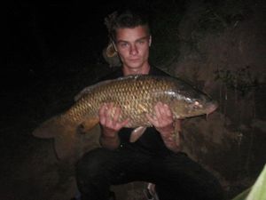 Common Carp