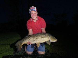 Common Carp