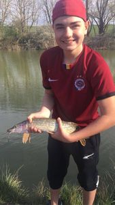 Northern Pike