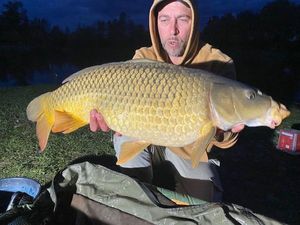 Common Carp