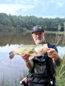 Largemouth Bass