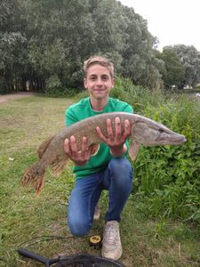 Northern Pike