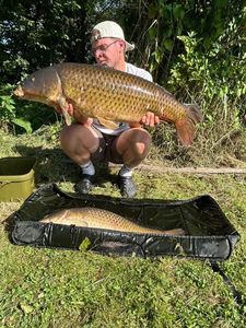 Common Carp