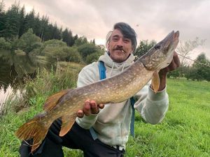 Northern Pike