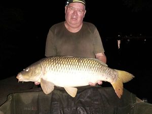 Common Carp
