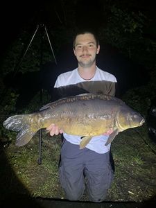 Mirror Carp