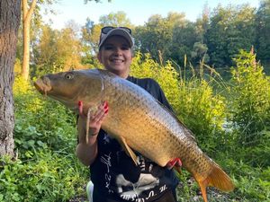 Common Carp