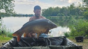 Mirror Carp
