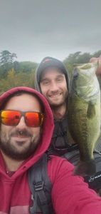 Largemouth Bass