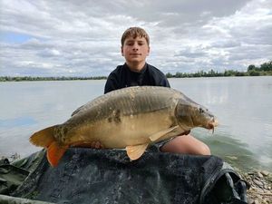 Mirror Carp