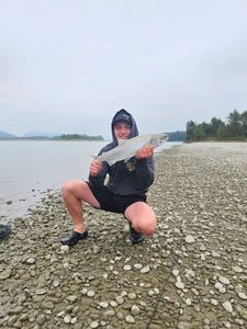 Sockeye Salmon