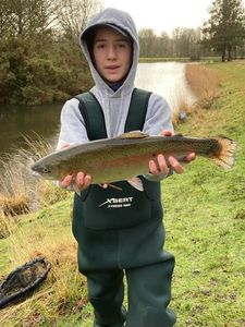 Rainbow Trout