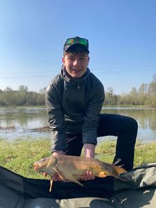 Mirror Carp