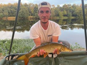 Barbel