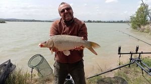 Common Carp