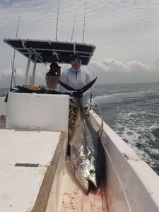 Yellowfin Tuna