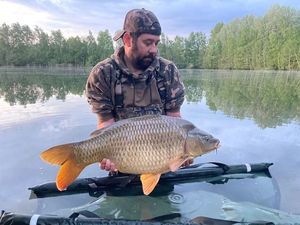 Common Carp