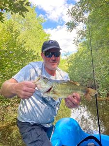 Largemouth Bass