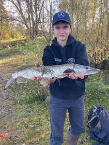 Northern Pike