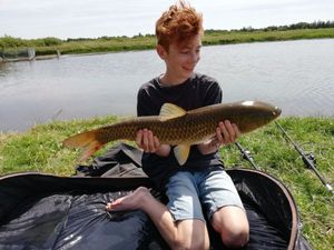 Grass Carp