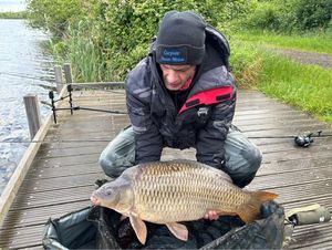 Common Carp