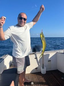 Dolphinfish