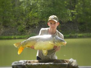 Mirror Carp