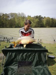Mirror Carp