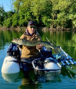 Northern Pike