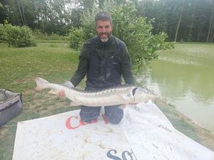 Sturgeon