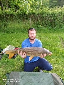 Common Carp