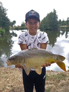 Mirror Carp
