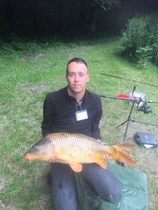 Common Carp