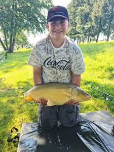 Mirror Carp