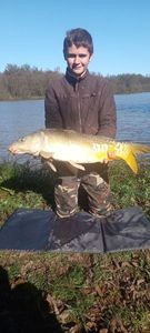 Mirror Carp