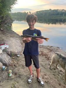 Northern Pike