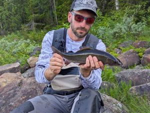 Grayling